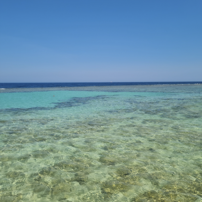 Clear turquoise shallow water over a reef, under an open blue sky