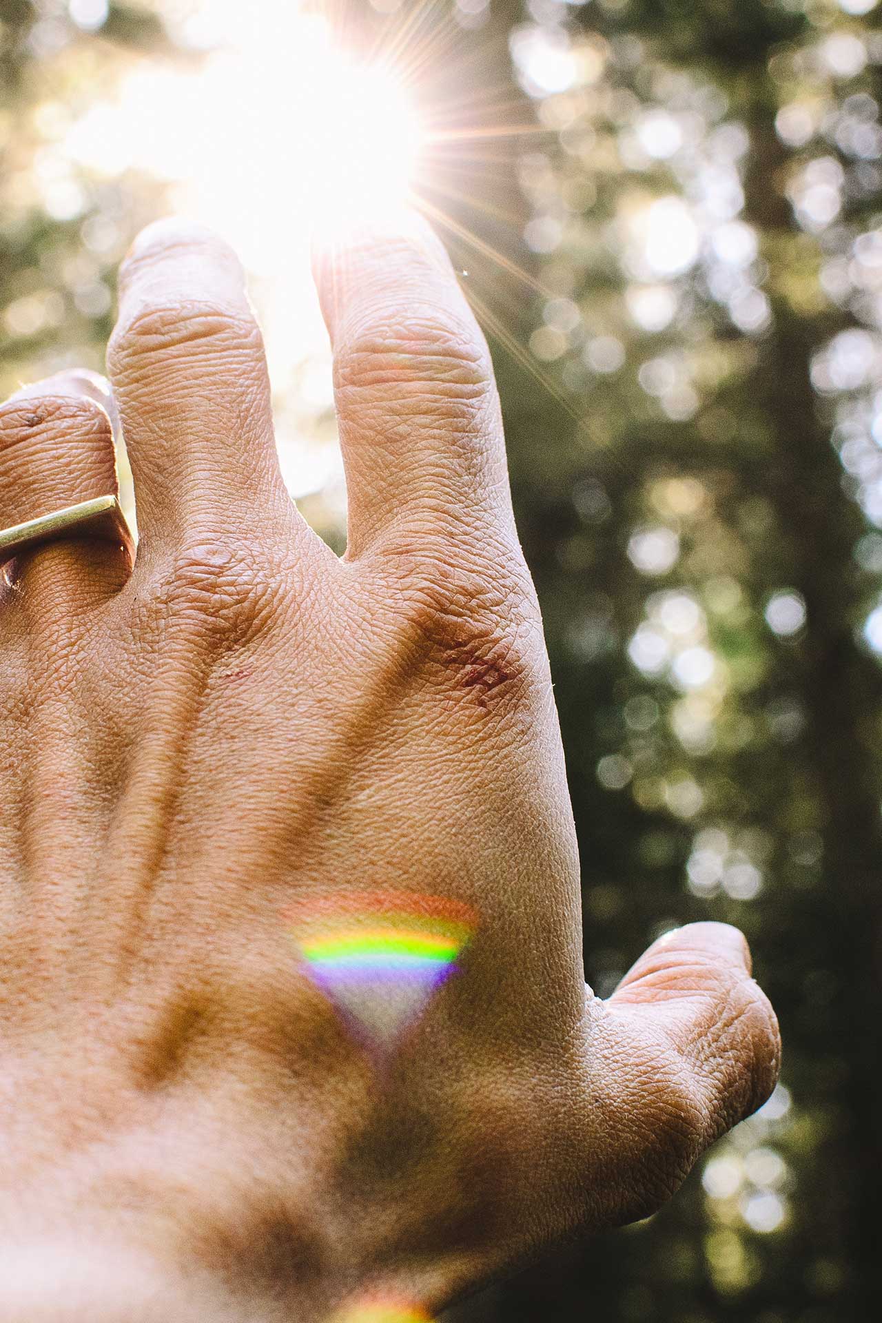 A hand reaching toward sunlight through the trees with a rainbow prism across the skin